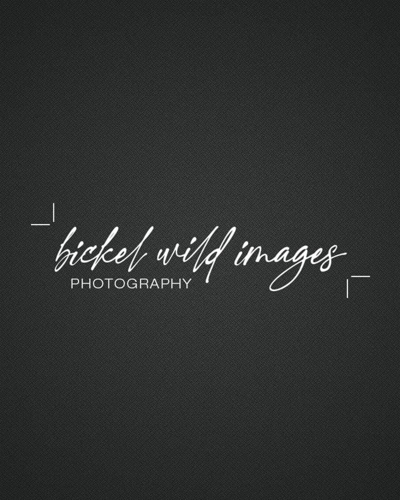 BICKEL WILD IMAGES
